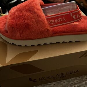 Kookaburra by Ugg slippers.